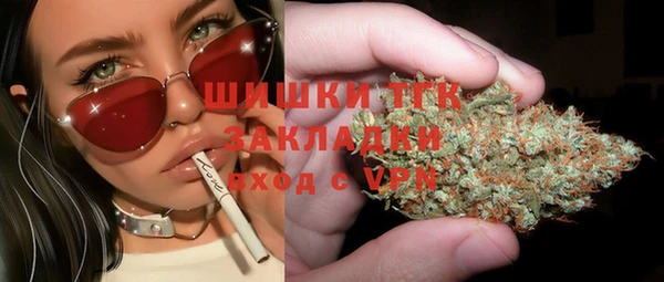 ГАЛЛЮЦИНОГЕННЫЕ ГРИБЫ Ельня