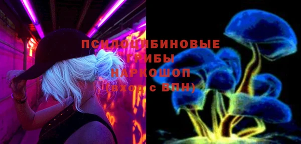 ГАЛЛЮЦИНОГЕННЫЕ ГРИБЫ Ельня