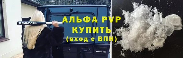 ГАЛЛЮЦИНОГЕННЫЕ ГРИБЫ Ельня