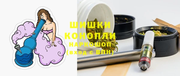 амф Елизово