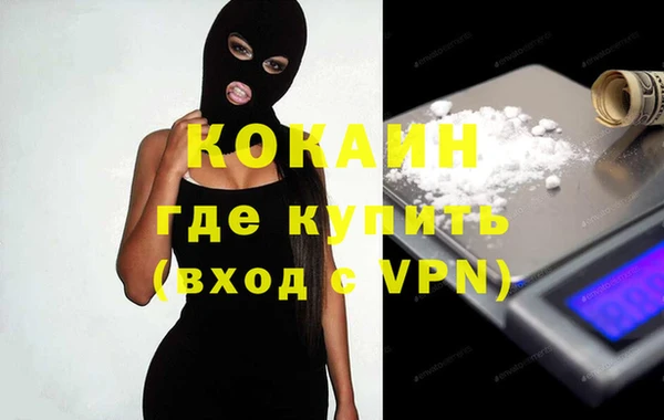 ГАЛЛЮЦИНОГЕННЫЕ ГРИБЫ Ельня