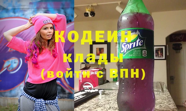 амф Елизово