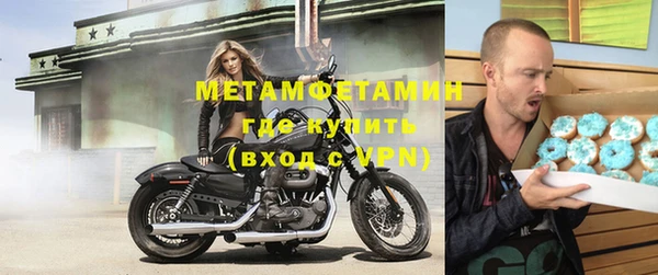ГАЛЛЮЦИНОГЕННЫЕ ГРИБЫ Ельня