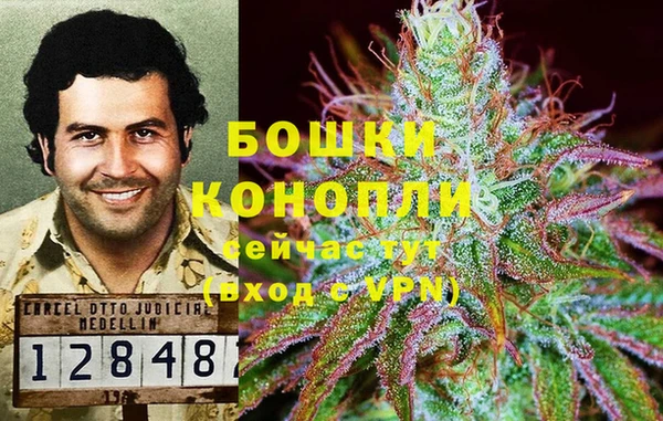 ГАЛЛЮЦИНОГЕННЫЕ ГРИБЫ Ельня