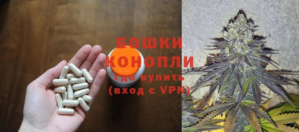 ГАЛЛЮЦИНОГЕННЫЕ ГРИБЫ Ельня