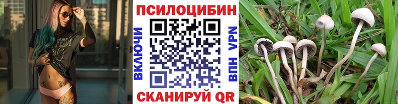 Купить закладки  Дудинка  Псилоцибиновые грибы ЛСД 
